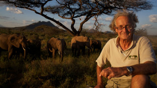 Iain Douglas Hamilton seated in front of group of elephants.