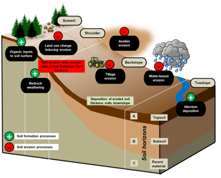 Soil structure diagram