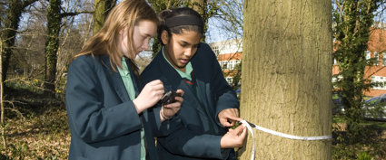 Two school girls are using a tape measure to measure the circumference of a tree. One is measuring and the other is noting the measurement. The school buildings are in the background.