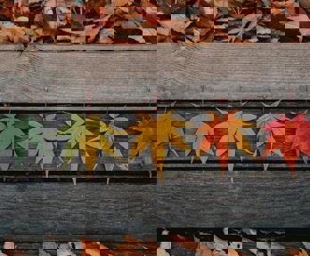 Brown and yellow leaves on a brown wooden background