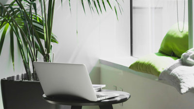 An open laptop on a small round coffee table in a brightly lit room with a tall green fern in a flower pot. 