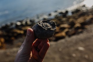 Fossil hunting
