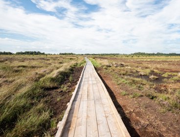 Path through Bolton Fell Moss.