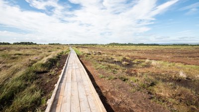 Path through Bolton Fell Moss.