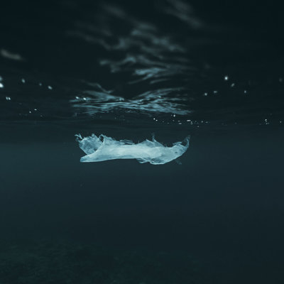 A piece of plastic floating in the sea