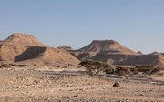 A desert rocky outcrop