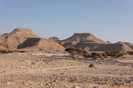 A desert rocky outcrop