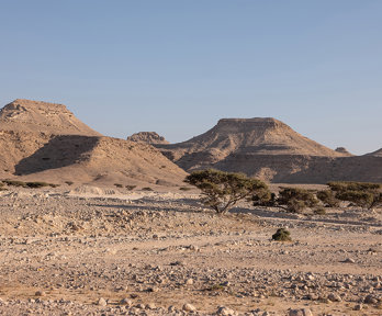 A desert rocky outcrop