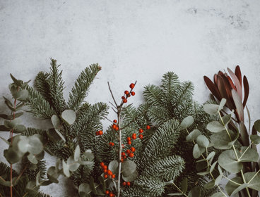 Pine, eucalyptus, berries branches laid out against grey background.
