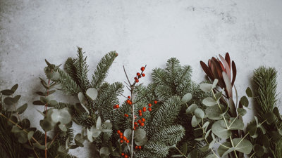 Pine, eucalyptus, berries branches laid out against grey background.