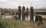Stacks of rectangular peat sods impaled on wooden poles across a muddy peatland under an overcast sky.