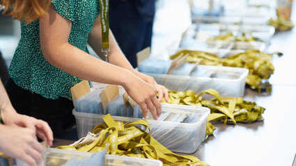 A person sorting green lanyards and badges into plastic boxes.