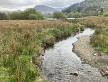 The Dub Beck river.