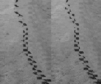 A fault line in a grey road