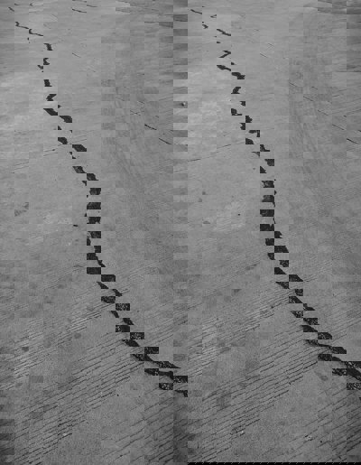 A fault line in a grey road