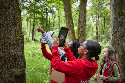 Children in a wooded area doing geography fieldwork