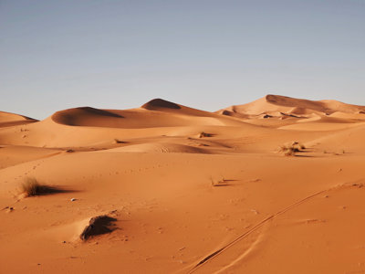 An orange / brown desert scene, with dues shown in the background and small areas of grasses in the foreground