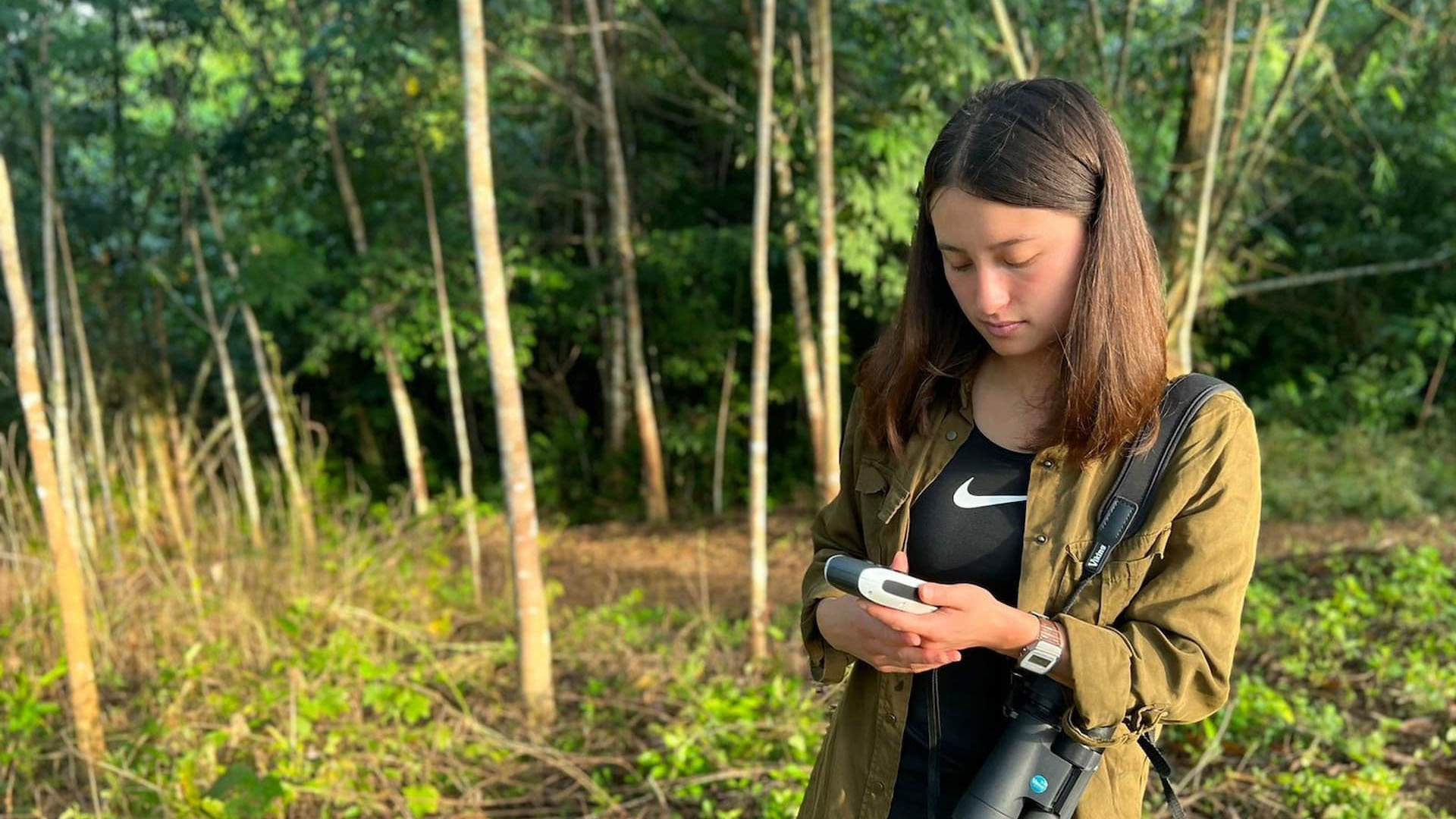 A person in a forest holding a measuring device.