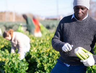 Farm worker