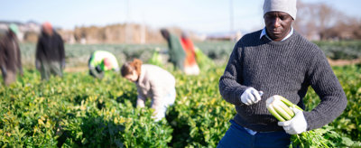 Farm worker