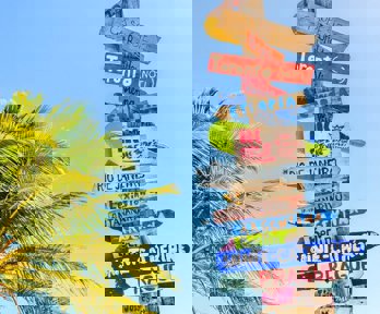 A stack of signs each with a country or city name written on them stand next to a plam tree and before clear sky