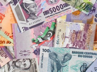 A selection of money notes of all colours, including ones showing an elephant, various flags and prominent people
