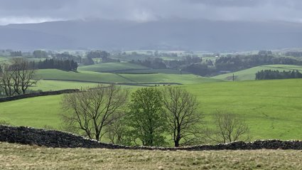 Rolling green fields stretch under a cloudy sky with stone walls and scattered trees in the foreground.