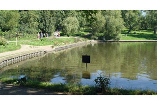 Hampstead Heath Ponds are attractive to both wildlife and visitors.