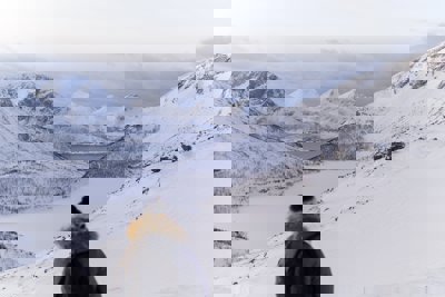 A person looking over a snowy scene of mountains and valleys