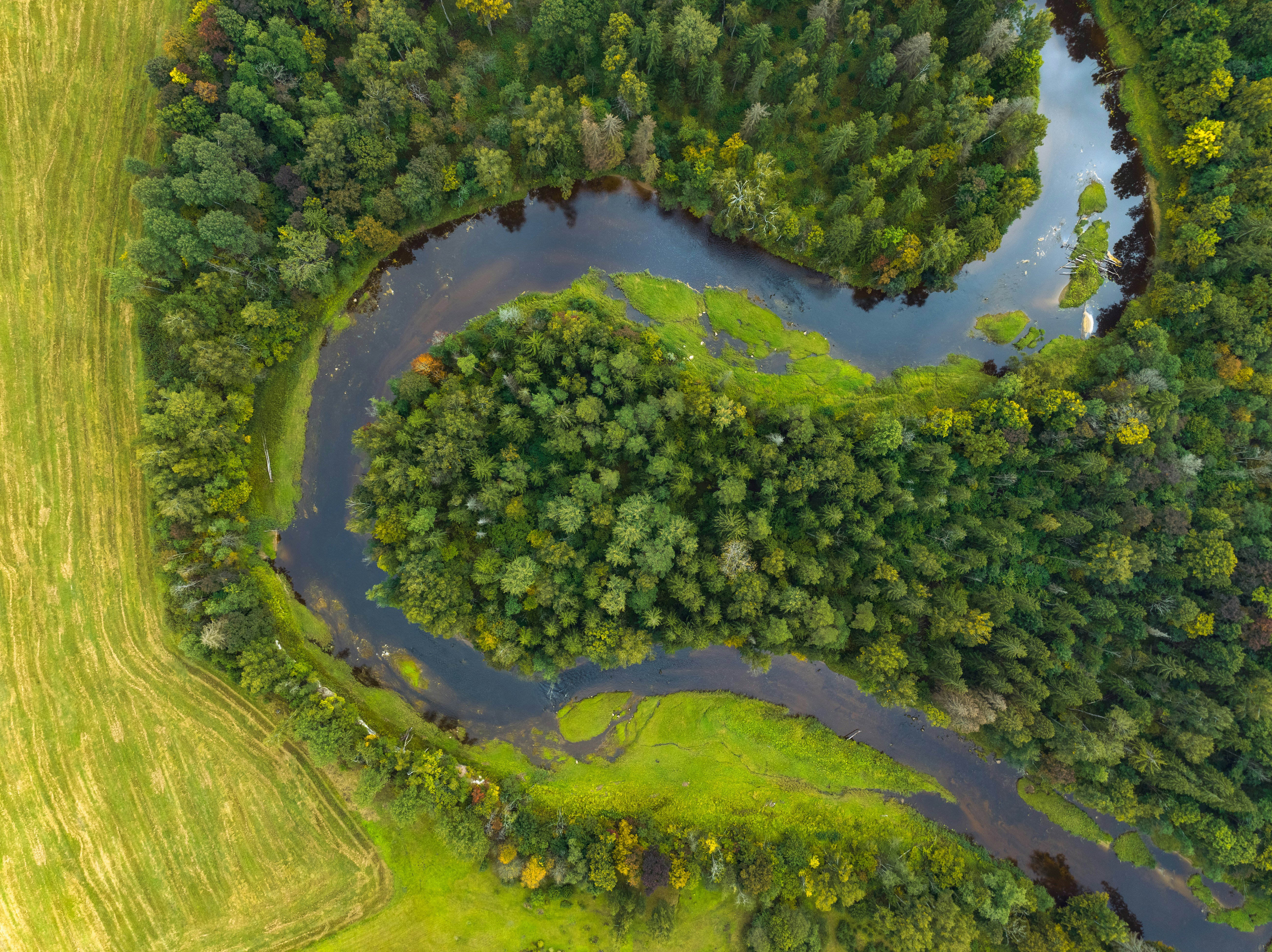 River and coastal fieldwork approaches | RGS