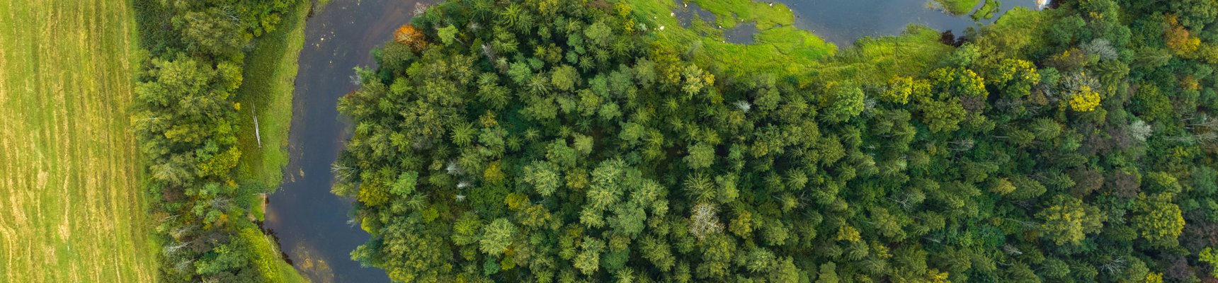 River and coastal fieldwork approaches | RGS