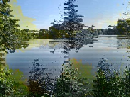 A body of water on a fine day