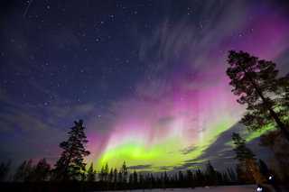 The northern lights showing in the night sky.