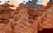 A woman standing on a sandstone rock formation known as The Wave.