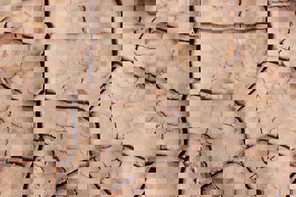 Dry, muddy ground that has broken up into a block pattern