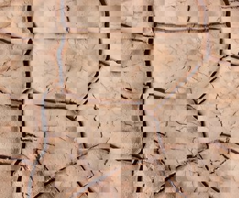 Dry, muddy ground that has broken up into a block pattern