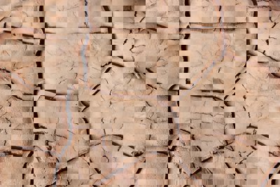 Dry, muddy ground that has broken up into a block pattern