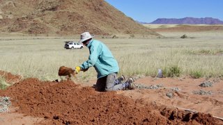 Man shovelling in red dirt which is part of a fairy circle in Namibia.