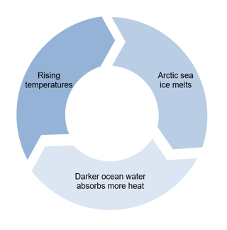 Arctic diagram