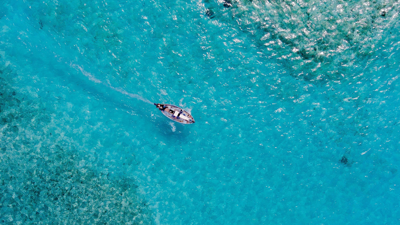 Aerial view of boat at sea
