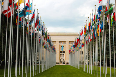 Flags on grass