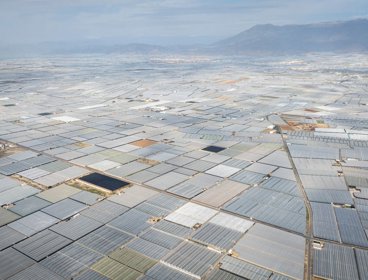 Aerial view of fields of commercial agriculture. Photograph titled 'Plasceless Foodscape'.
