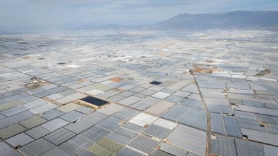 Aerial view of fields of commercial agriculture. Photograph titled 'Plasceless Foodscape'.