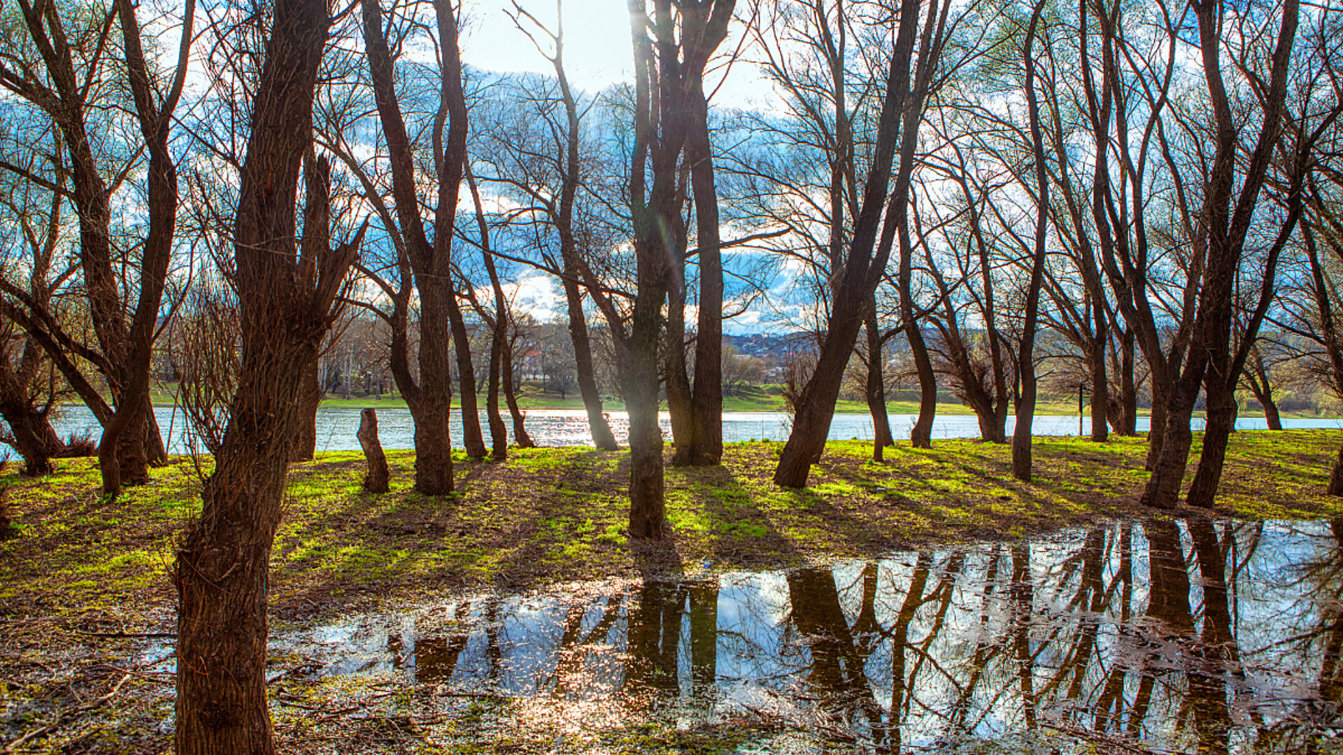 Supporting nature-based solutions to flood risks in Britain