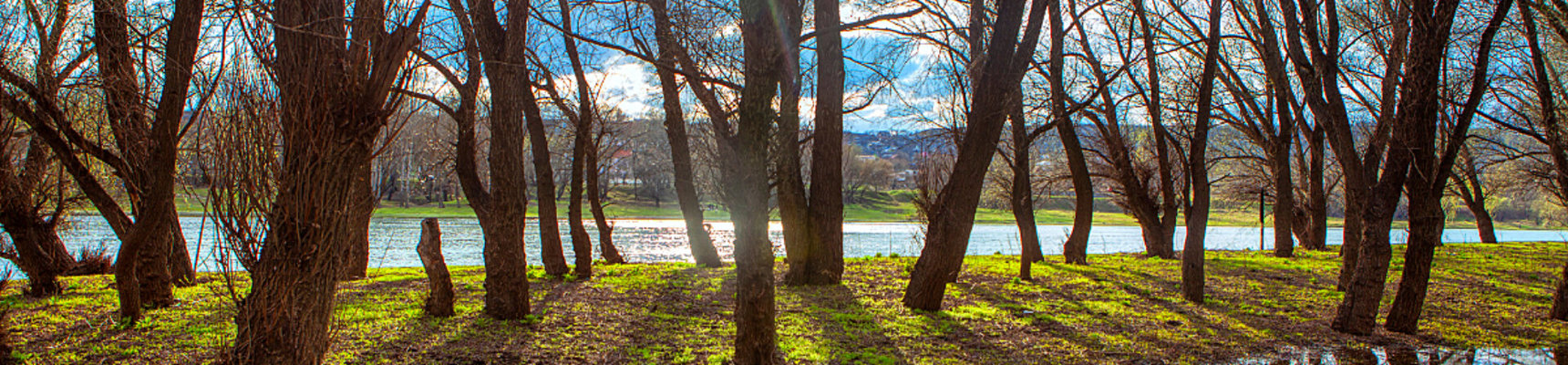 Supporting nature-based solutions to flood risks in Britain