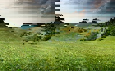 Green hills with forest under a cloudy sky