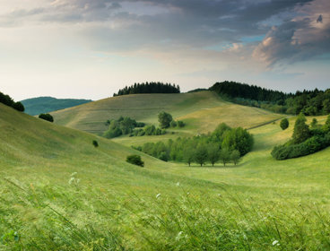 Green hills with forest under a cloudy sky.