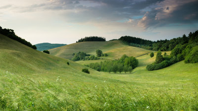 Green hills with forest under a cloudy sky.