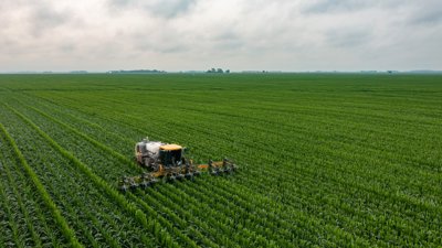 A tractor ploughs and fertilizes a feild of bright green crops.