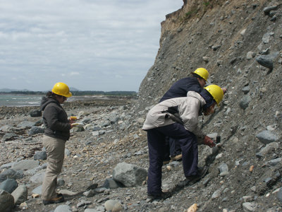 Three people in yellow hard hats on a beach collecting rocks
